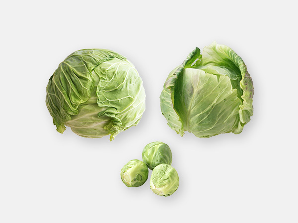 旬のきほん 野菜