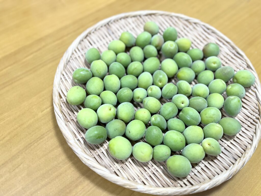わが家の元気ドリンク！梅シロップを作りました【季節の手仕事】