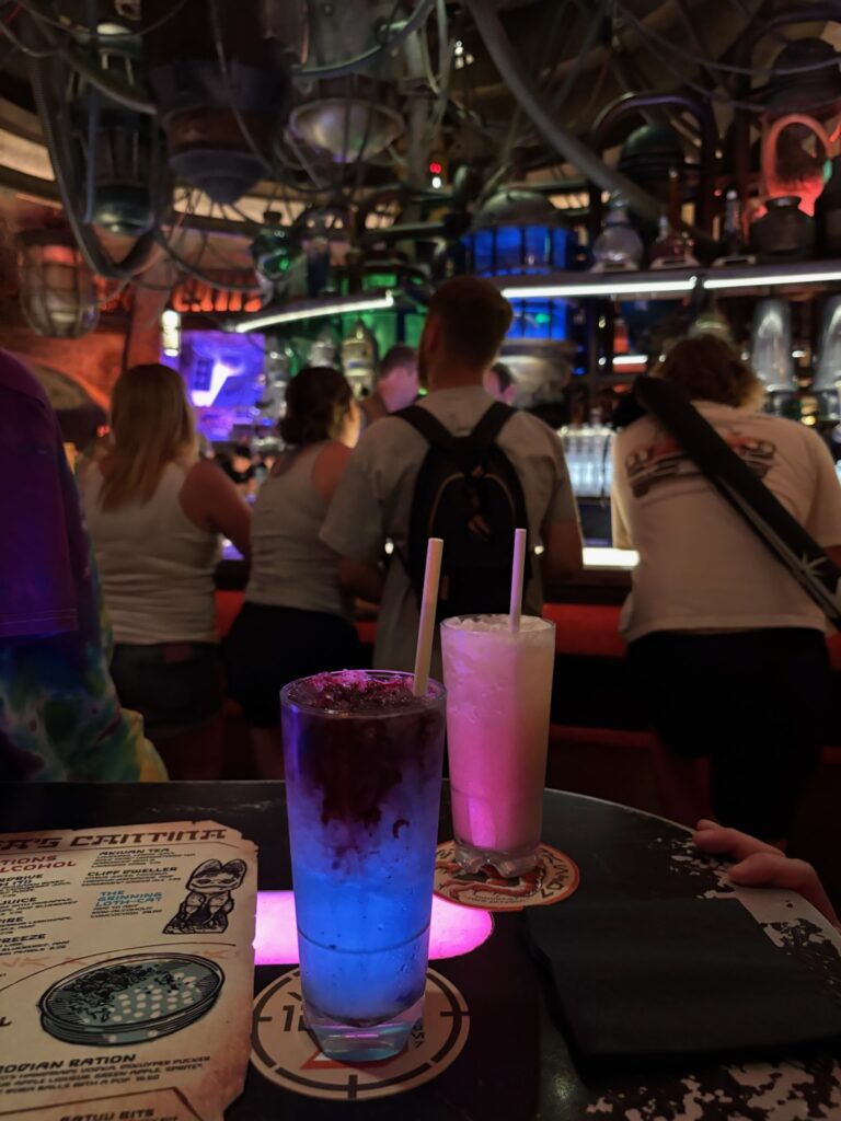 フロリダディズニー
スターウォーズ