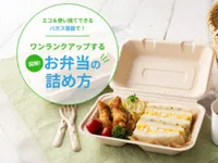 エコ＆使い捨てできるバガス容器で！図解！ワンランクアップするお弁当の詰め方