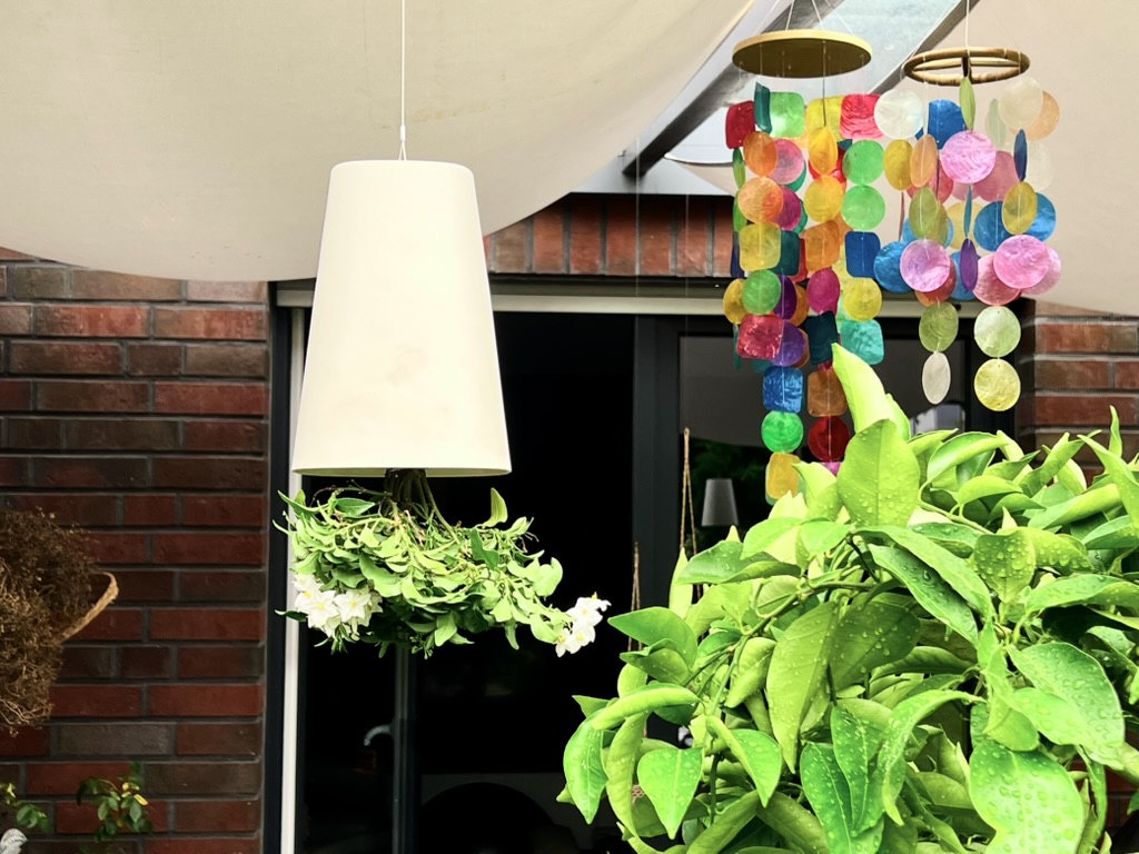 スカイプランター　Sky Planter ハンギング　