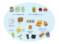 【食品保存のコツ】え、これも？「冷凍室」に入れたほうがいい、意外な食品15選