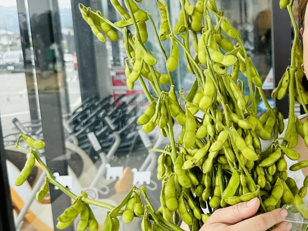山形で購入した枝付きの枝豆のだだちゃ豆