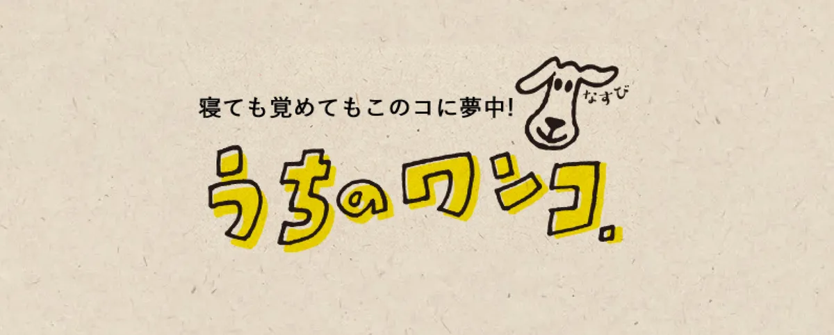 うちのワンコ