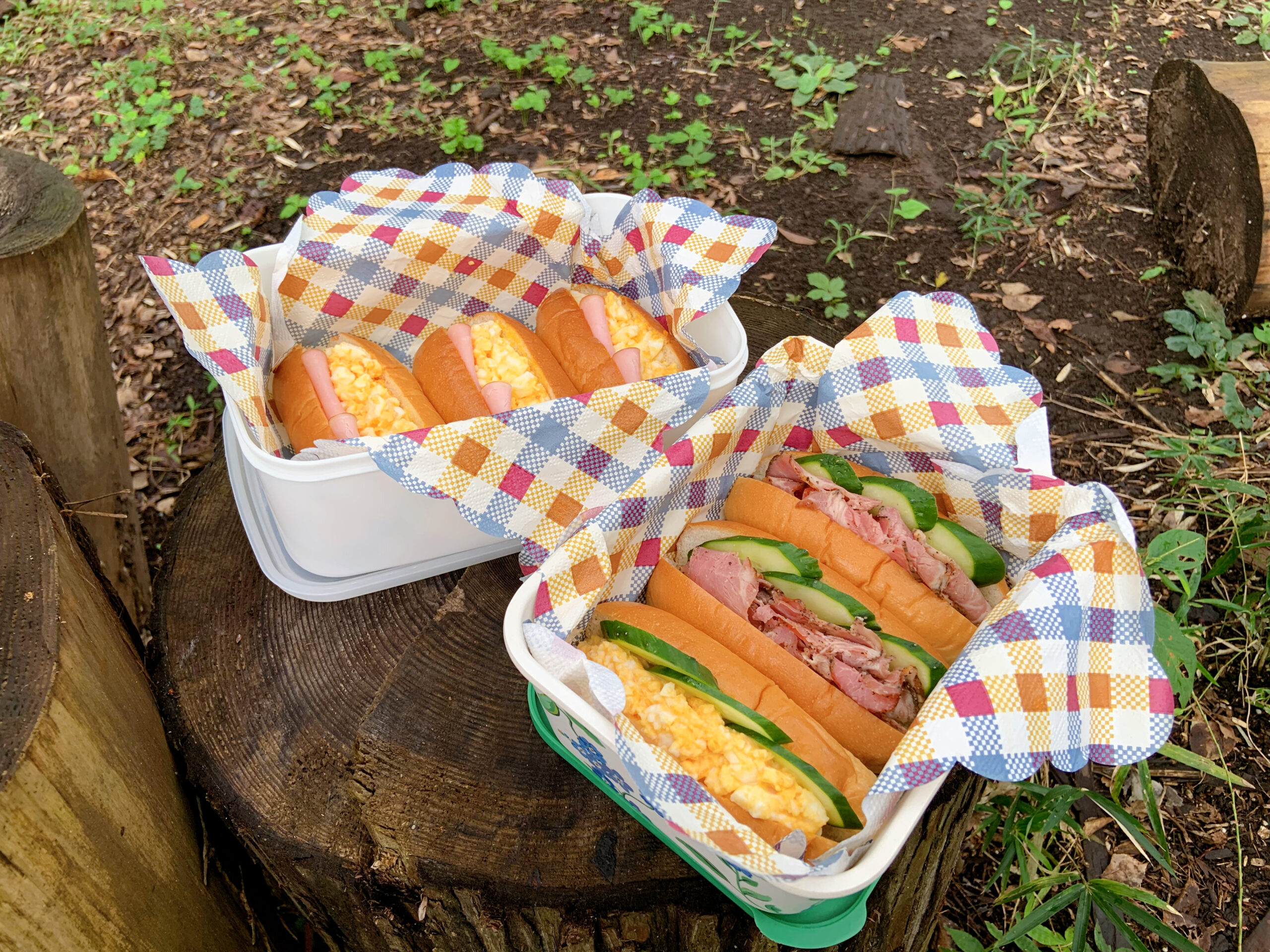 秋のハイキングで食べた朝ごはんのロールパンサンド