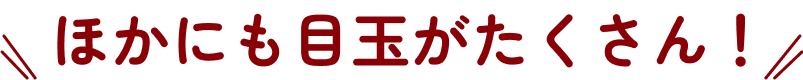 ほかにも目玉がたくさん!